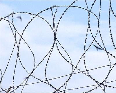 Тюрьма и воля