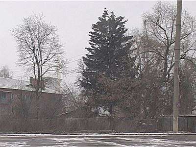 Зима вернулась. На долго ли?