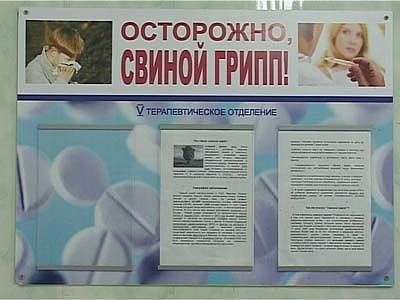 В области зафиксирован смертельный случай заражения «свиным гриппом»