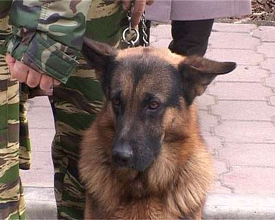 Отряд ОМОНовцев в очередной раз отправляются в одну из горячих точек России