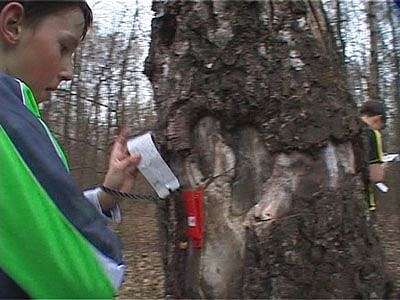 «Звезды Орловщины» — день второй...