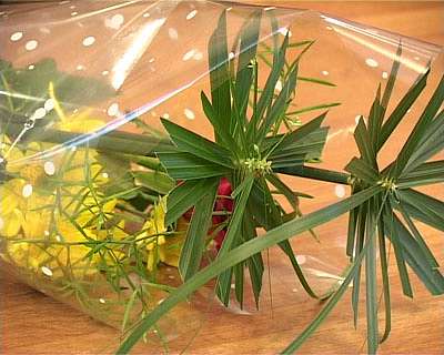 Сегодня состоялось награждение ДНД