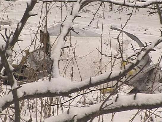 На границе Тульской и Орловской областей упал самолет