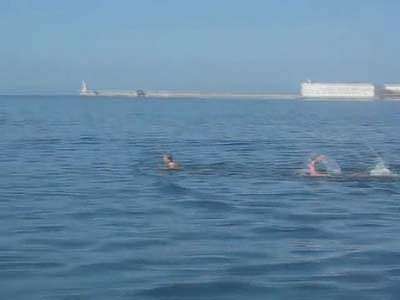 Заплыв нашего земляка