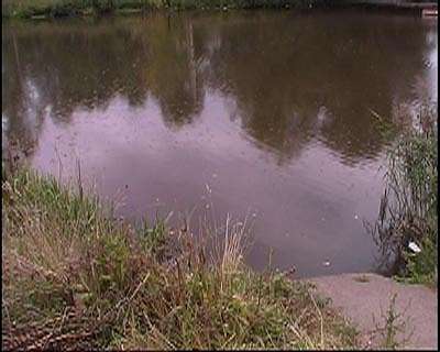 Очистка Орлика