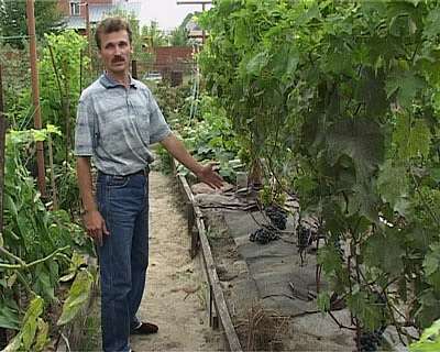 Человек-огород