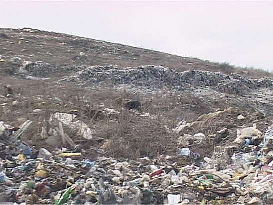 в Орле построят мусороперерабатывающий завод...