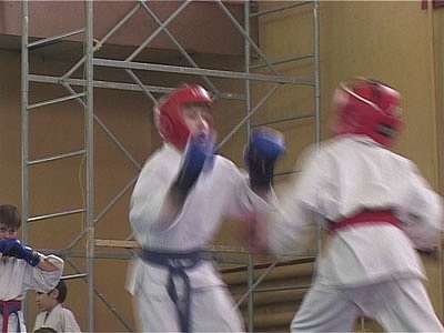 Рукопашный бой