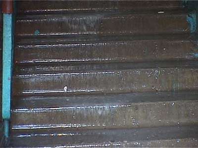 Пусть бегут неуклюже, пешеходы по лужам