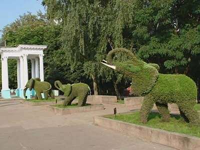 По Орлу поплывет топиарный корабль