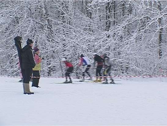 Лыжные гонки в Медведевском лесу