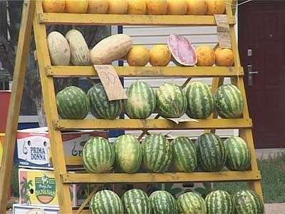 Стоит ли сейчас покупать арбузы?