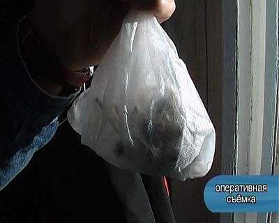 Задержаны наркопреступники