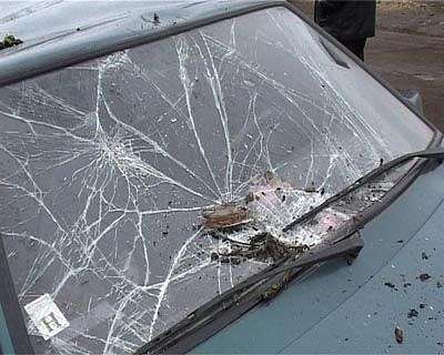 Машина и дерево