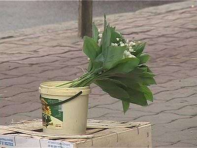 Светлого мая привет...