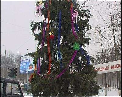 Где купить елку?