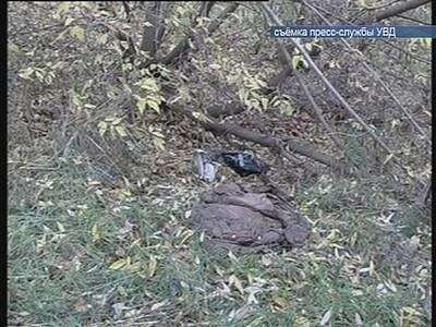 Обнаружено тело младенца