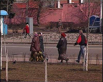 Охота на стариков