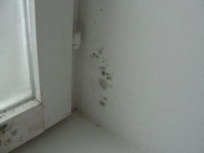 Кот в мешке