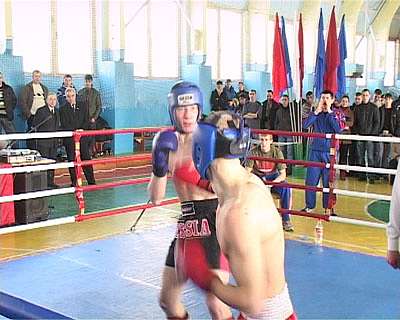 Кик-боксинг